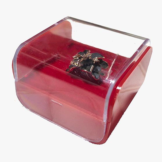 Fancy Plastic Red Ring Box